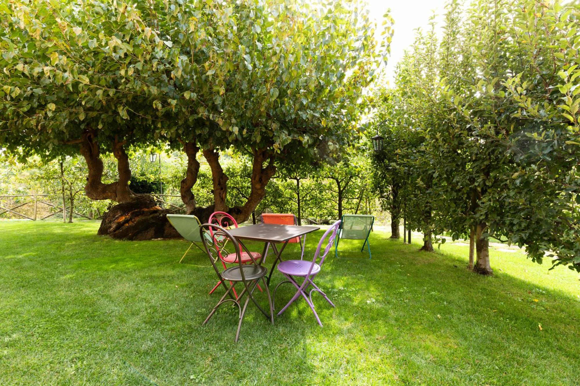 Agriturismo I Gelsi Di Santa Cristina Gubbio Kültér fotó